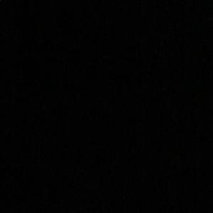 Meet your Posher, Ricky